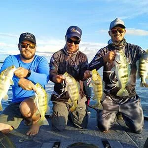 Grupo Wwp 🐠 Pesca Esportiva 🎣